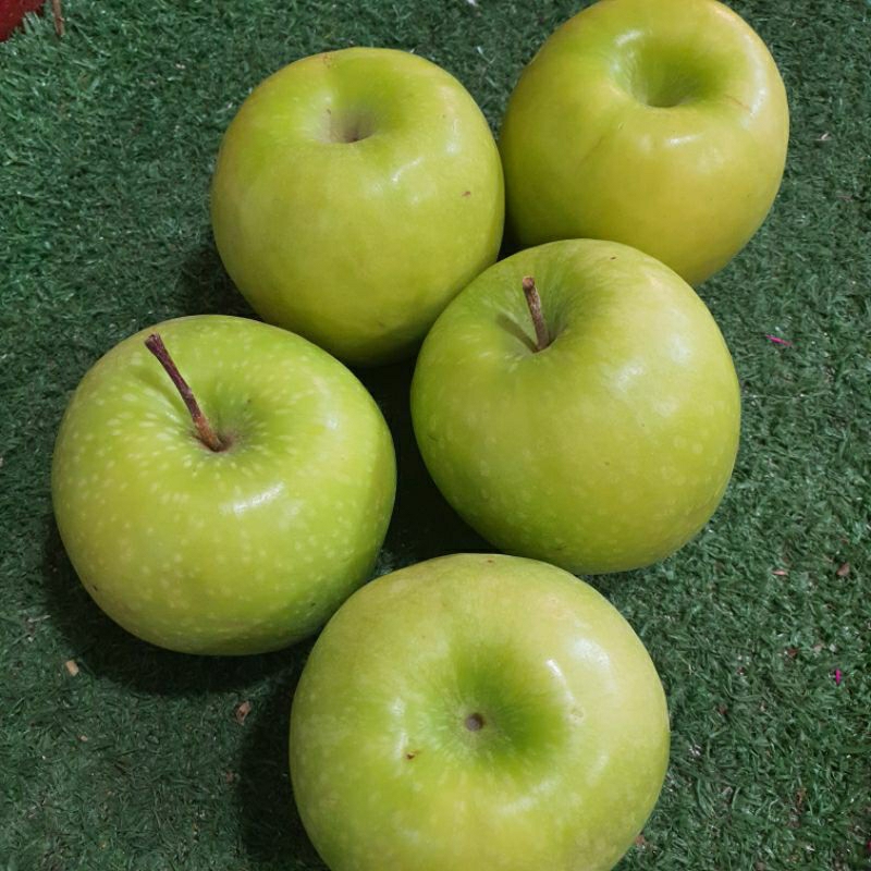 

Appel Green Smith 1kg