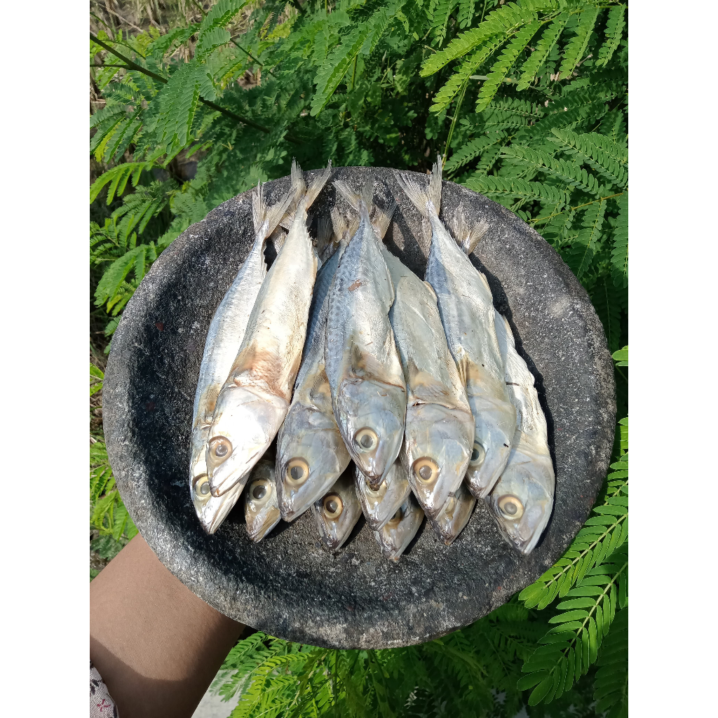 

Ikan Asin Pedo / Ikan Asin Peda / Ikan Asin Kembung Banyar (Mentah)