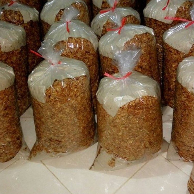 

Wow banget Bagor Bawang Goreng 1kg PREMIUM Grade A Grade B