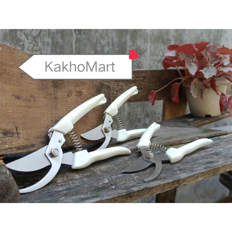 gunting dahan ranting pohon.