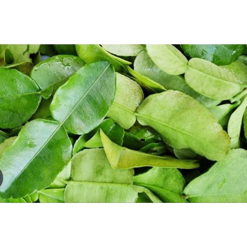 

daun jeruk perpaket / pampang online