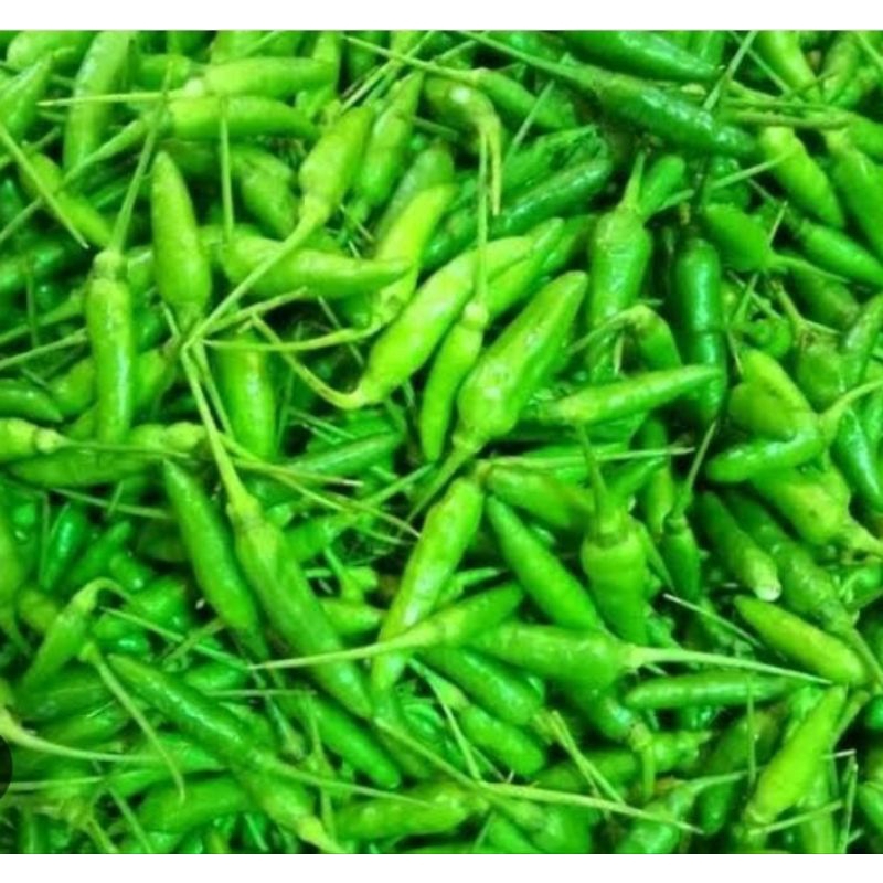 

cabe rawit / lombok marica / buat mie titi / pampang online