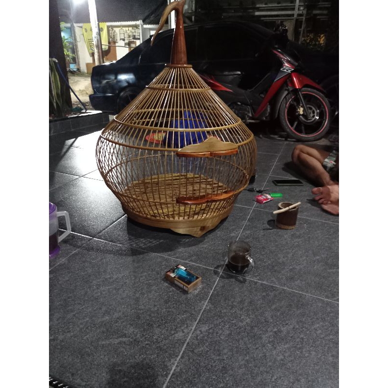 sangkar ayam hutan hijau