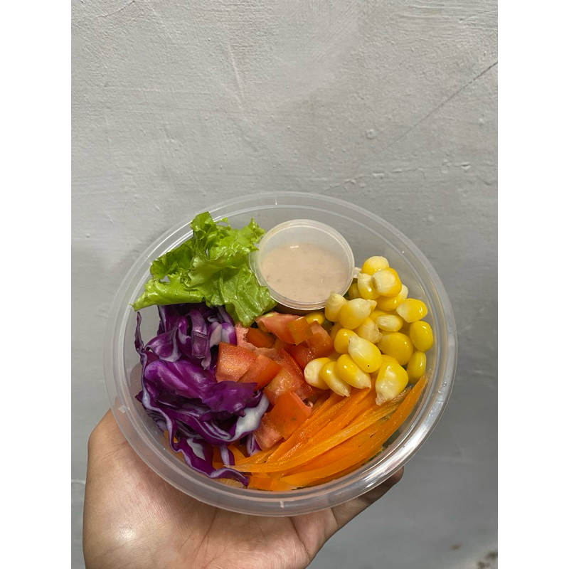 

Salad sayur mini bisa gosend bandung