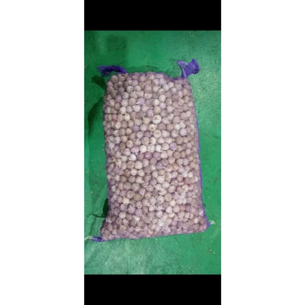 

Bawang Putih Tunggal Lanang Karungan 10kg Ukuran Kecil Medium Besar Jumbo Fresh