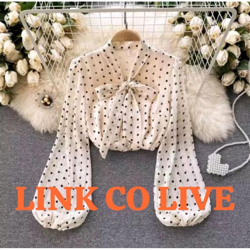 LINK CO LIVE BLOUSE KEMEJA KOREA