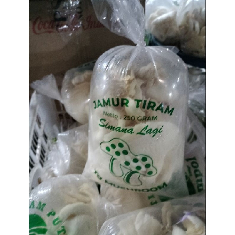 

Jamur Tiram (250 Gram)