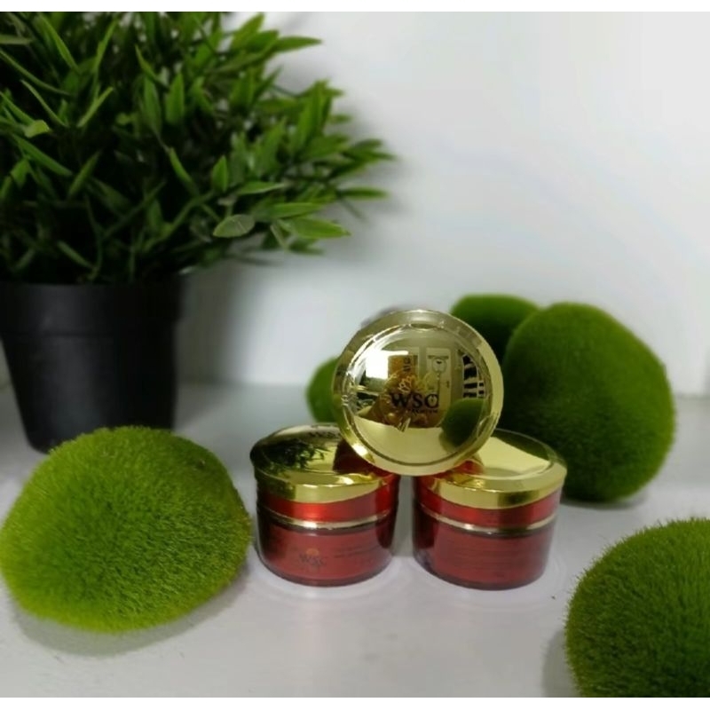 Cream ecer siang atau malam WSC organic