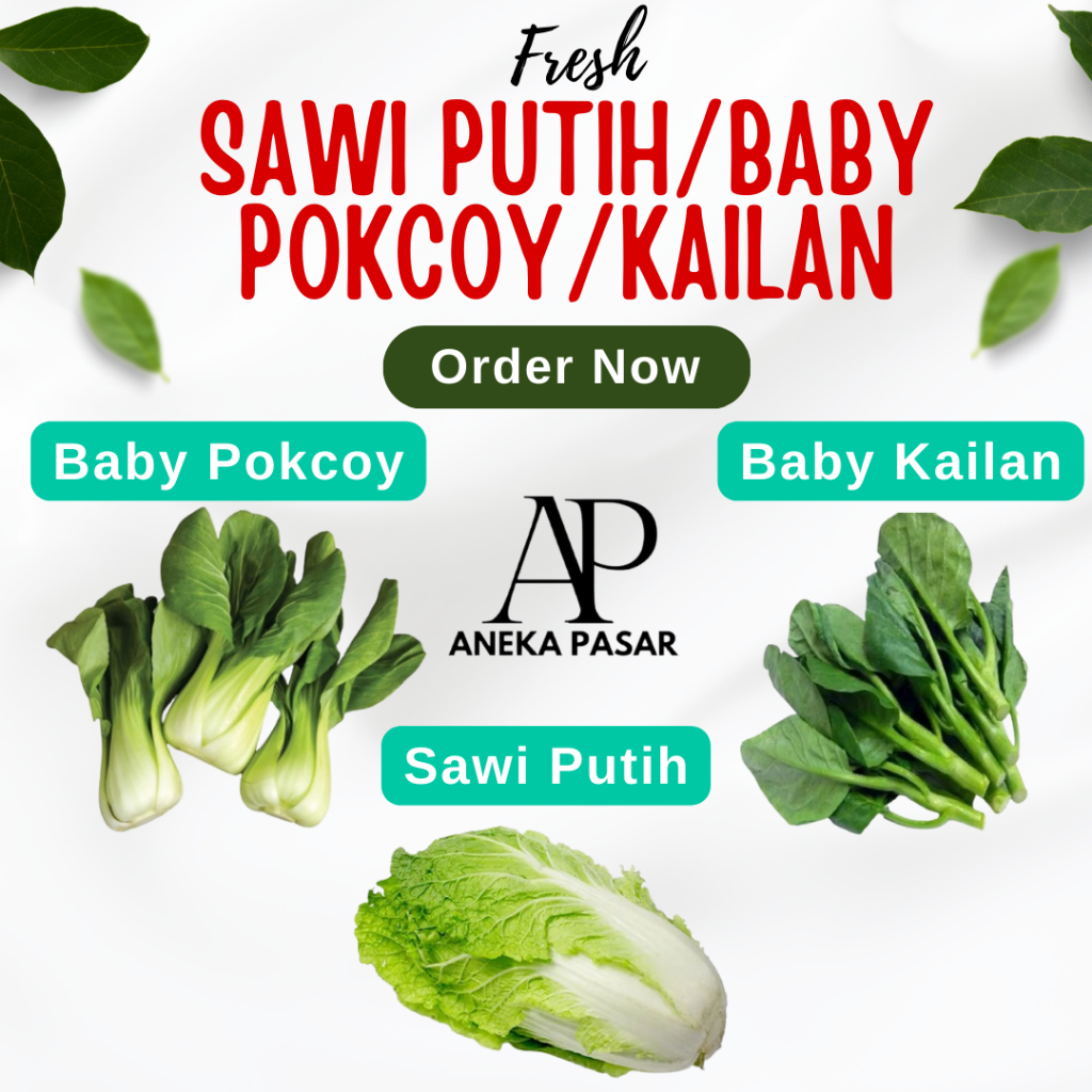 

Sayur Sawi Putih / Baby Pokcoy Pakcoy Coysam Sawi Sendok Kailan Sayuran Segar Fresh Surabaya