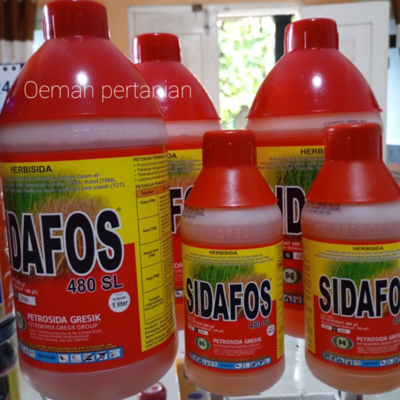 Sidafos 480 SL,Herbisida Mengendalikan Gulma /Obat Rumput