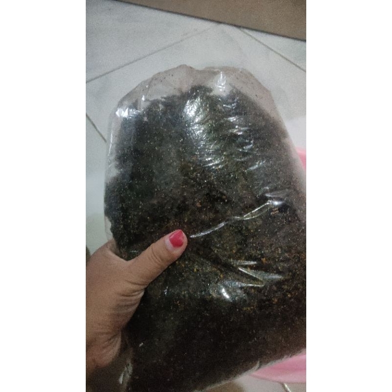 

nori 100gram