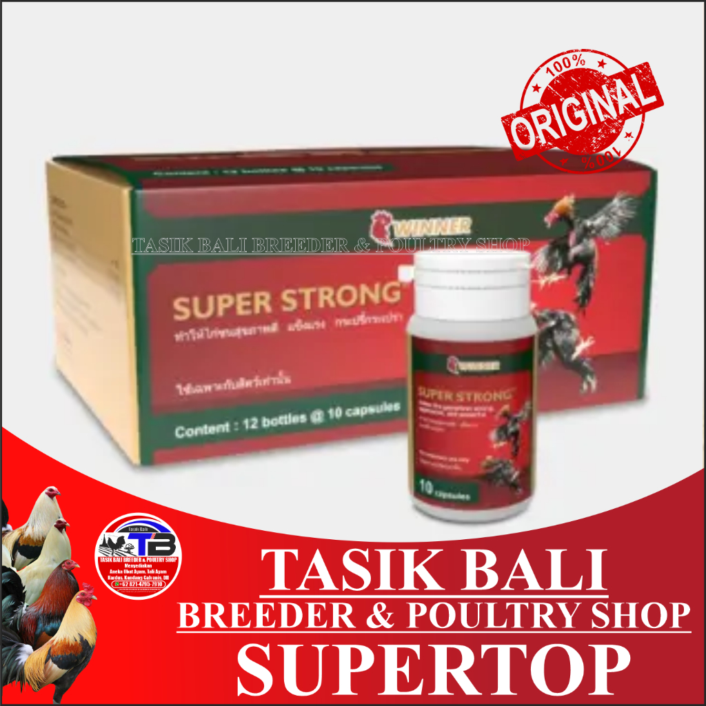 SUPER STRONG AYAM JAMU AYAM SUPER STRONG MENAMBAH POWER AYAM DAN TENAGA AYAM