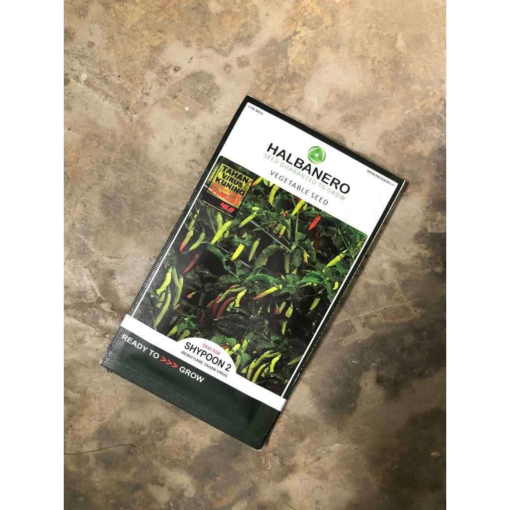 Benih Cabe Shypoon 2 TAVI Lebat