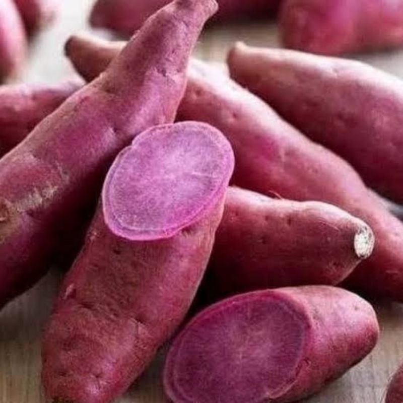 

Ubi Ungu 1Kg Ubi Ungu Segar Organik Termurah