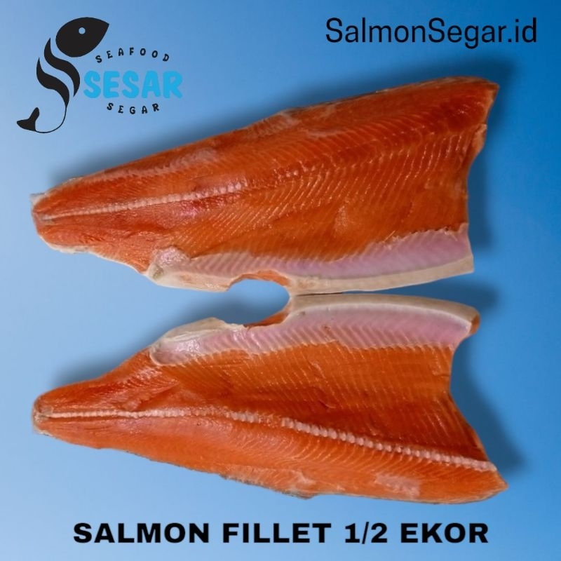 

Fillet Salmon Norwegia - Kualitas Frozen - Fillet Utuh