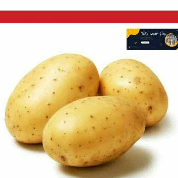 

Kentang Besar Hemat Sehat 1Kg