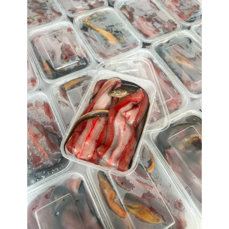 

Belut Fillet Frozen 500 Gram