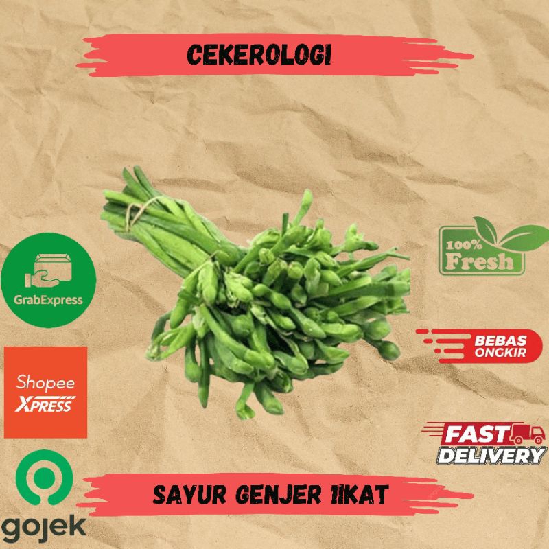 

Sayur Genjer 1ikat / Sayur Genjer / Sayur Genjer Fresh Berkualitas / JABODETABEK / Sayur Segar / Sayuran / Sayur