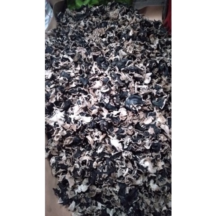 

Berkualitas jamur kuping kering 1kg bisa cod