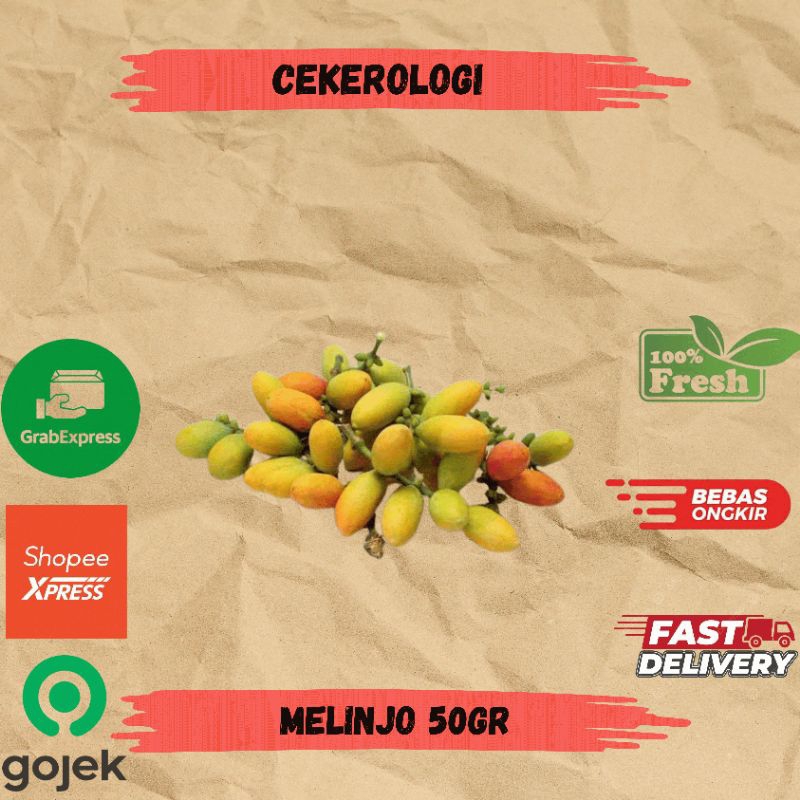 

Melinjo 50gr / Melinjo / Melinjo Fresh Berkualitas / JABODETABEK / Sayur Segar / Sayuran / Sayur