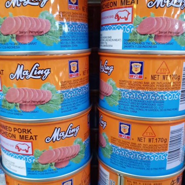 

NEW TTS MaLing Pork