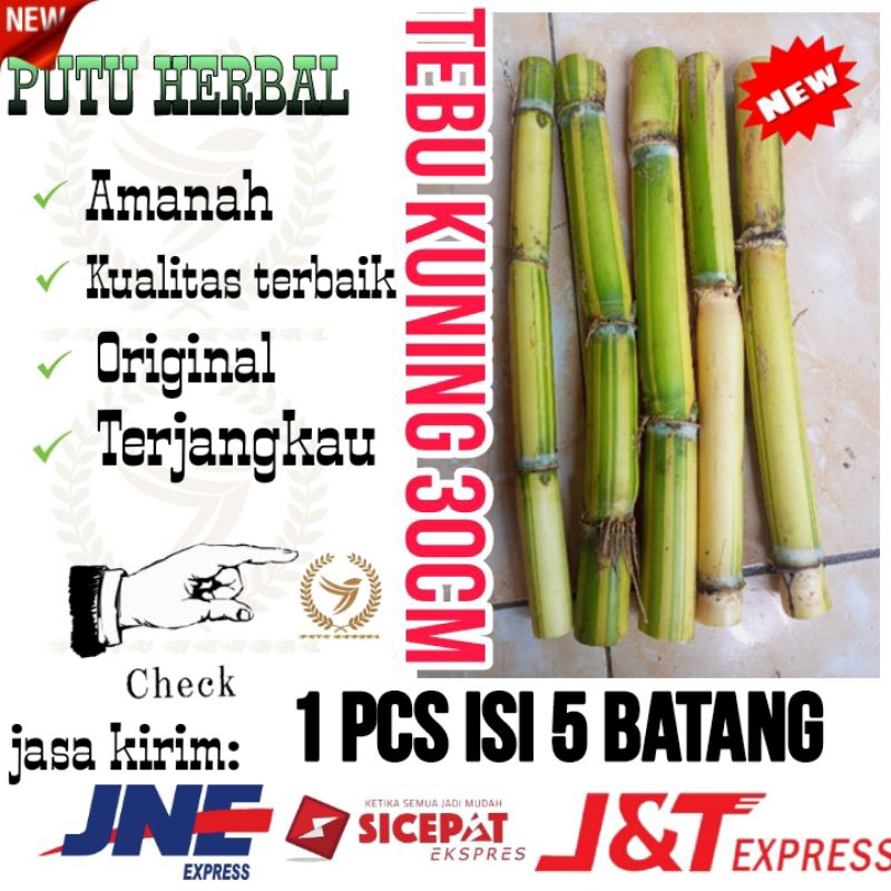 Tebu kuning | Tebu kuning 1 pcs