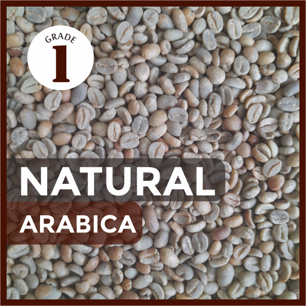 

Green Bean Arabica Natural Malabar