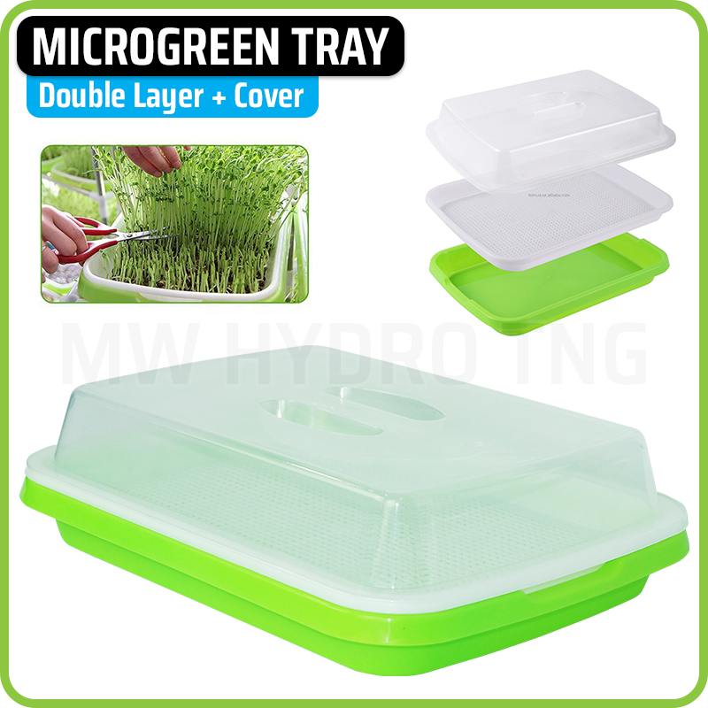 Microgreen Sprouting Tray with Cover - Tray Semai Microgreen dengan Tutup