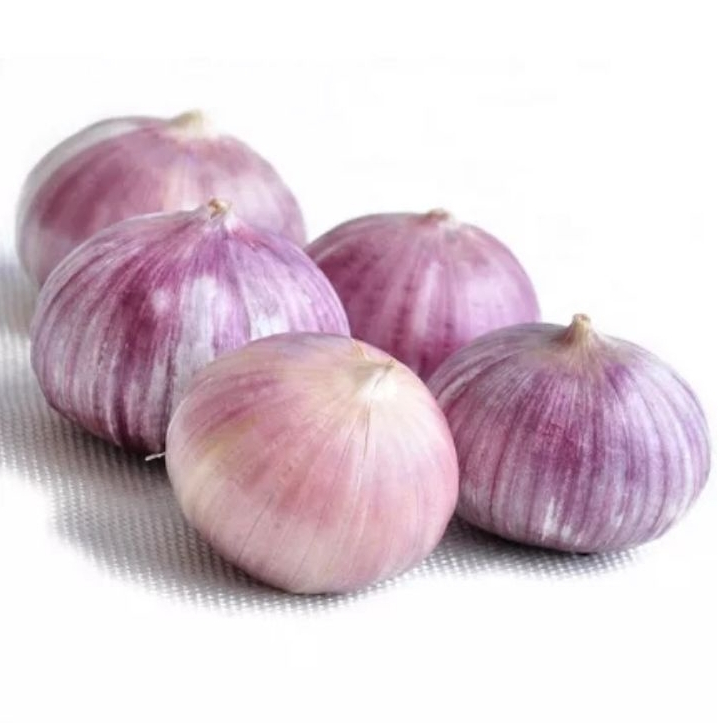 

Bawang Tunggal atau bawang lanang impor 100gram