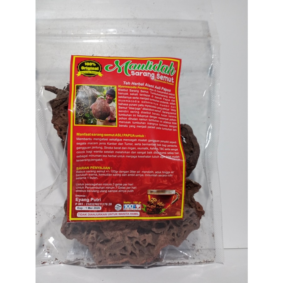 

Herbal sarang semut 100gr asli papua