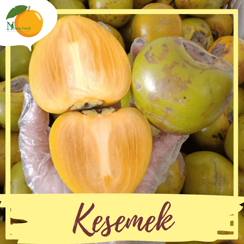 Buah Kesemek Persimmon Fresh 1kg | Kesemek Lokal