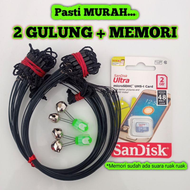 Racik burung ruak truok dan memori mp3 suara ruak