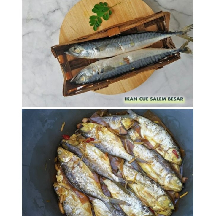 

Free Ongkir Ikan Cue Salem Besar Ikan Pindang Bandeng 1 pak isi 2