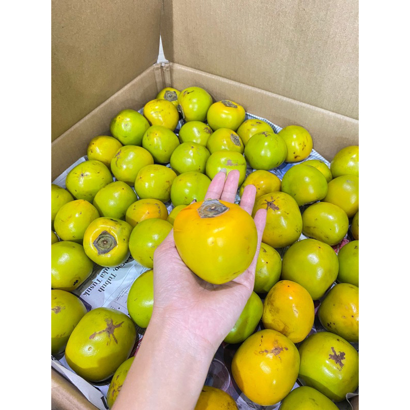 

buah kesemek lokal tanpa bedak persimon 900-1000 gr