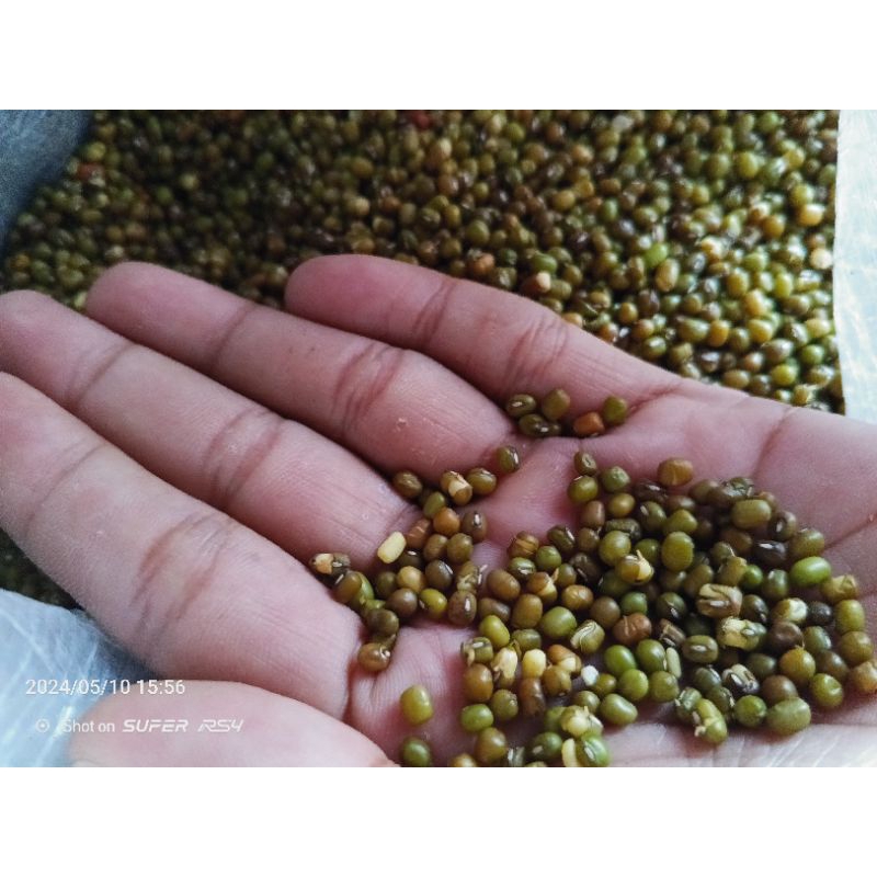 

kacang ijo import kacang ijo kecil 1kg Termurah