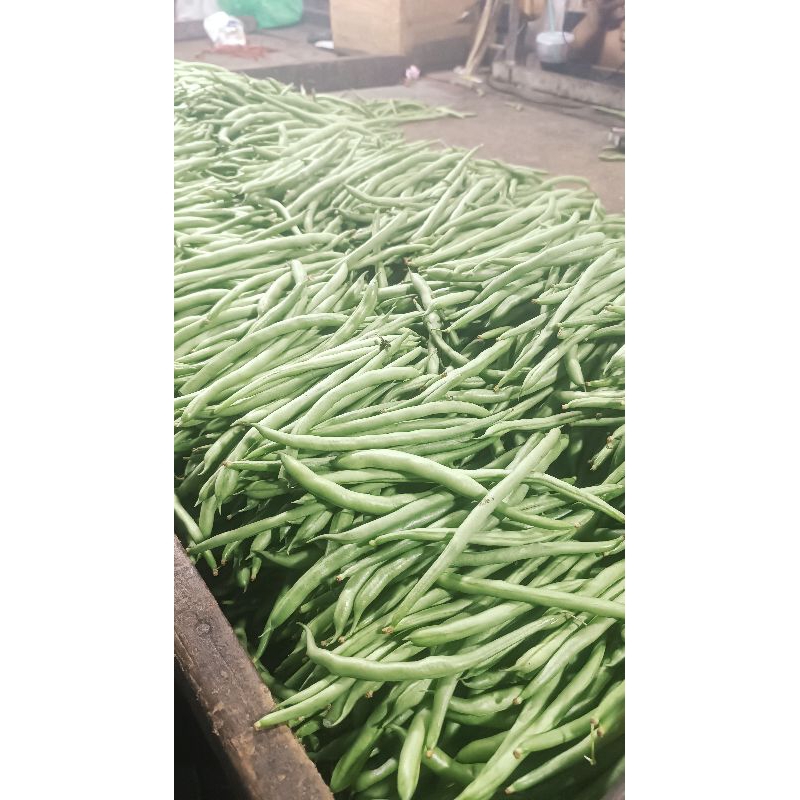 

Sayur Buncis Segar Pontianak