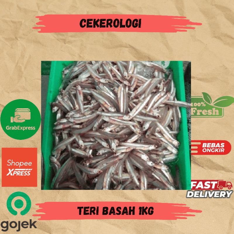 

Teri Basah 1kg / Ikan Teri Basah / Teri Basah Fresh Berkualitas / JABODETABEK / Ikan Teri / Ikan Segar / Ikan