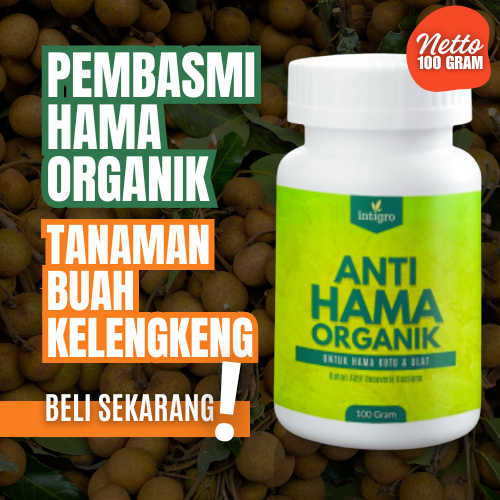 Obat Pembasmi Hama Kutu Daun Tanaman Buah Kelengkeng Pengendali Hama Daun Buah Kelengkeng Lalat Buah