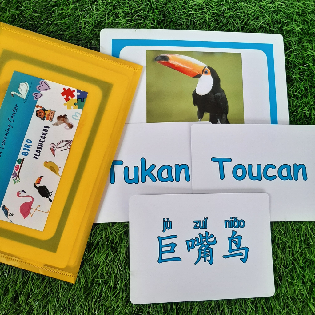 Kartu Mainan Edukasi Anak // Flashcards SIZE JUMBO Tema Burung // Bird 3 Bahasa untuk anak umur 1-6 