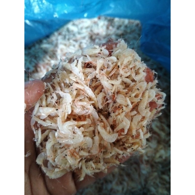 

udang kecepe (udang kecil)