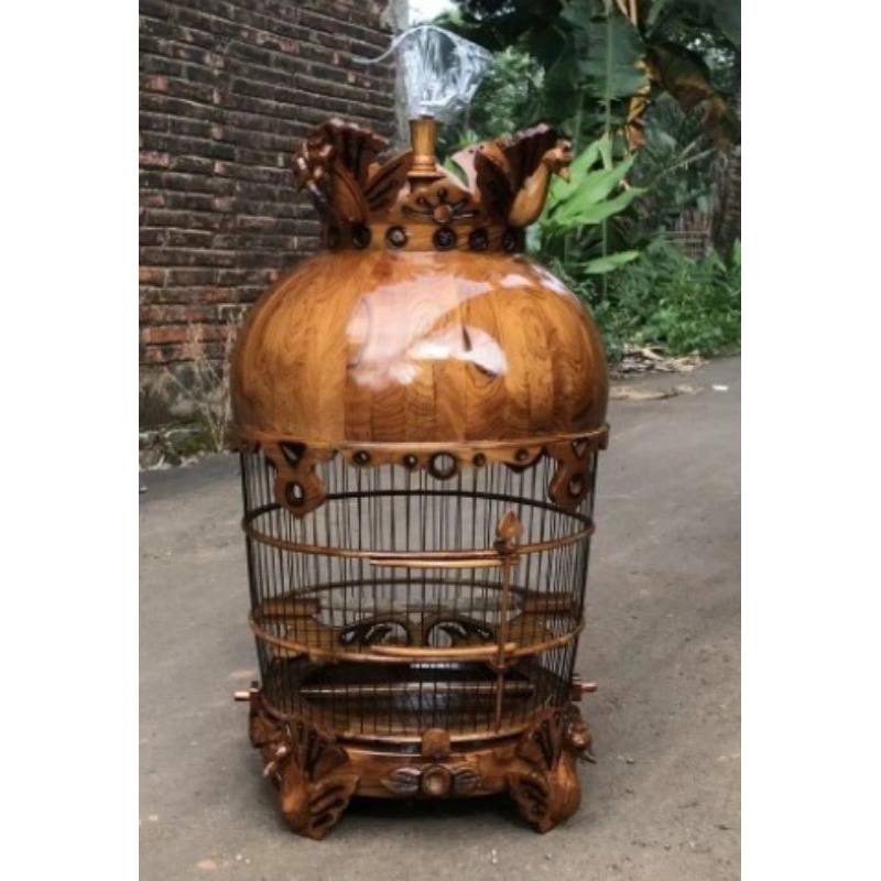 sangkar burung perkutut jati