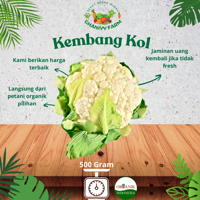 

Sayur Organik Kembang Kol Organik 500 Gram