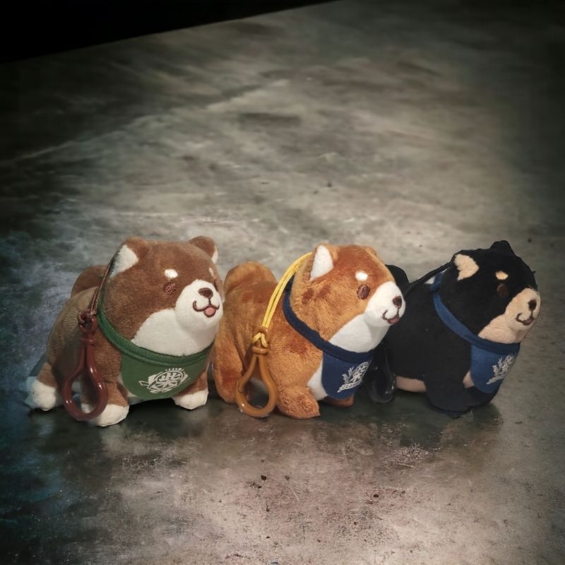 Shiba Sk japan (ganci)