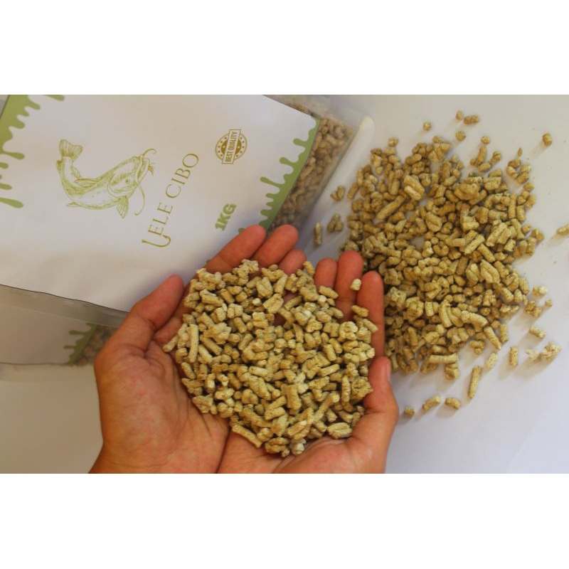 Pakan Alternatif Lele Cibo