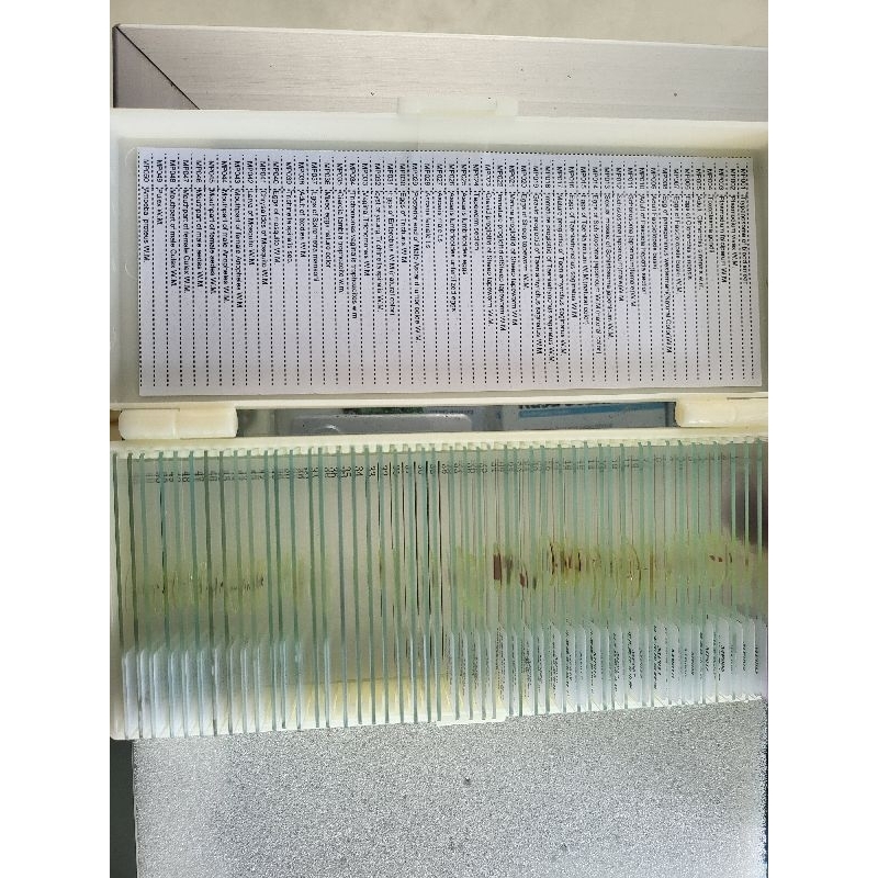 preparat parasitologi medical 50 slide import