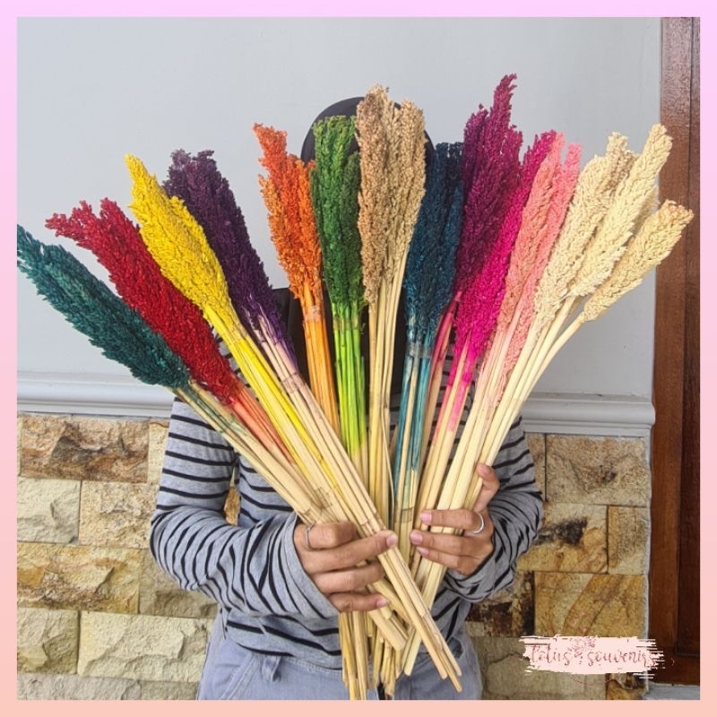 Bunga kering dried flower cantel warna | bunga dry flower sorgum warna | bisa mix warna