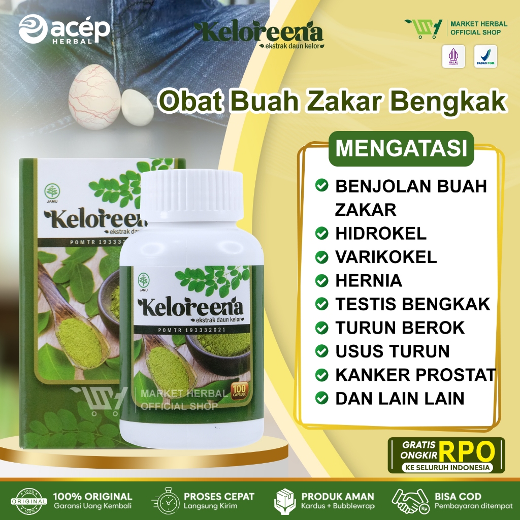 Obat Buah Zakar Varikokel Turun Bero Buah Zakar Bengkak Sebelah Hidrokel Nyeri Biji Jakar Varises He