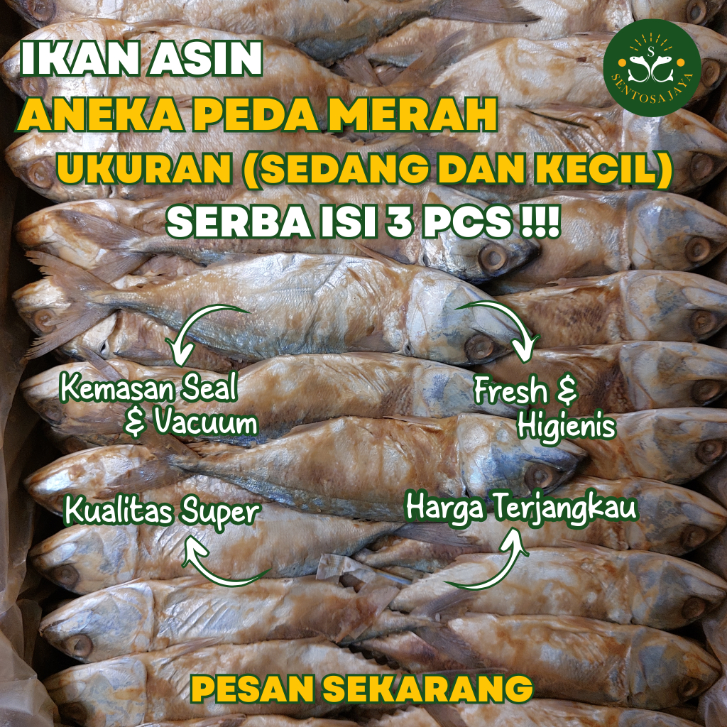 

Ikan Asin Peda Kembung Merah isi 3 pcs Ukuran (Sedang dan Kecil) Peda Kembung Merah Aneka Peda Kembung dan Peda Banjar