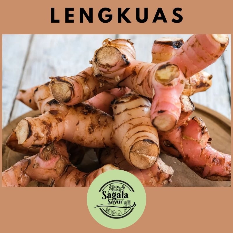 

LENGKUAS /Bumbu dapur / pelengkap masakan