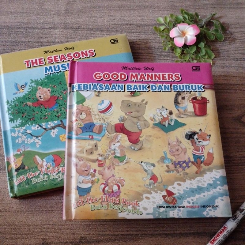 Boardbook Matthew wolf lift the flap book preloved